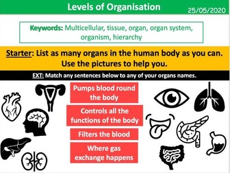 Levels of Organisation