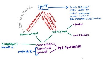 OCR A Level Biology H420 Module 5.2.2 Respiration Workbook