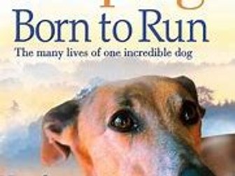 Born to Run by Michael Morpurgo :Comprehension question worksheets