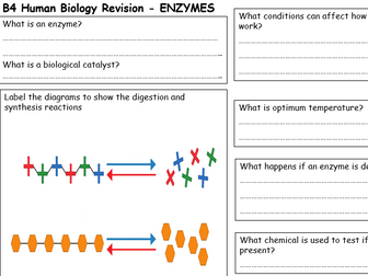 EDEXCEL ENTRY LEVEL CERTIFICATE (ELC) B4 HUMAN BIOLOGY REVISION - 5 REVISION SHEETS