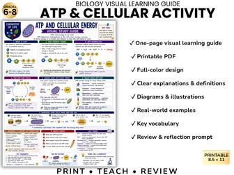 ATP & CELLULAR ACTIVITY Biology Visual Learning Guide | Grade 8 & Middle School Science