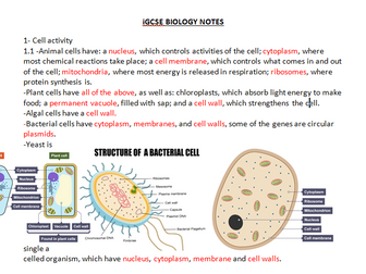 AQA iGCSE Biology notes - full