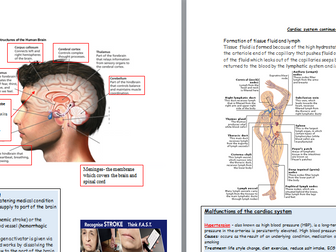 Revision booklet for Anatomy and Physiology