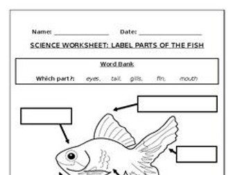 science worksheets label parts of the fish teaching resources