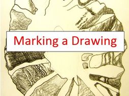 Assessing a Drawing