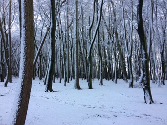 Once Upon A Winter's Eve