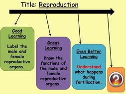 whole planned lesson for human reproduction ks3 year 7 ppt objectives