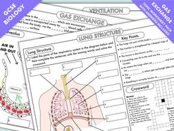 GCSE Biology Worksheet Pack on Gas Exchange (Breathing Topic