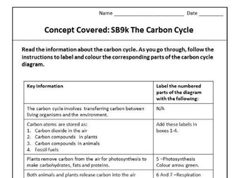 SB9k The Carbon Cycle