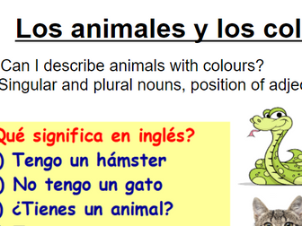 KS3 Year 7 Spanish Mira 1 Module 3 Los animales y los colores Animals and colours 3 lessons