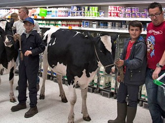 Milk prices