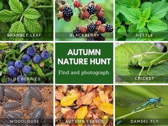 Autumn Nature Hunt