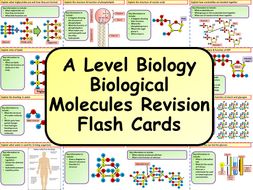 A Level Biology Biological Molecules Revision Flash Cards by