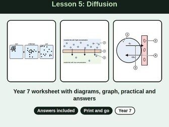 Lesson 5: Year 7 Diffusion Worksheet + Answers