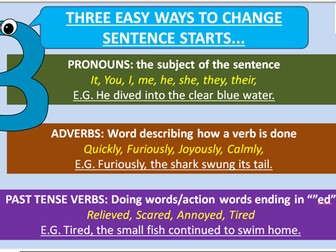 Sentence Starter Variety