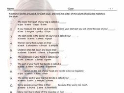 Body Parts Multiple Choice Worksheet