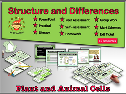 Plant and Animal Cells-Structure and Differences KS3 ...