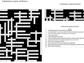 1. Biological molecules: Carbohydrate, Lipid and Proteins Crossword: Text &  Interactive Webpages
