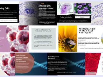 Topic 3 Edexcel International AS Level