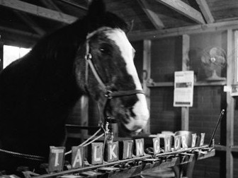 Lady Wonder: The Psychic Crime-Solving Horse Readers' Theatre Script