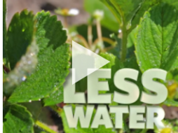 Flipside Science: Water-Wise Farms