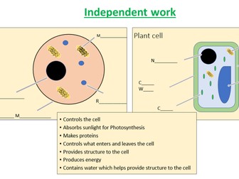 AQA GCSE Combined Science - Eukaryotes and Prokaryotes