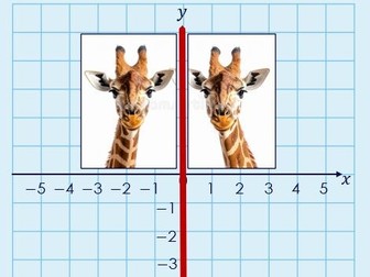 Reflection on a Grid and Graph (Lower Set)