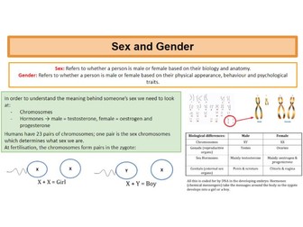Psychology - Gender