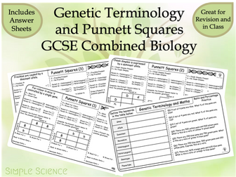 Genetic Terminology and Punnet Squares - GCSE Biology Worksheets