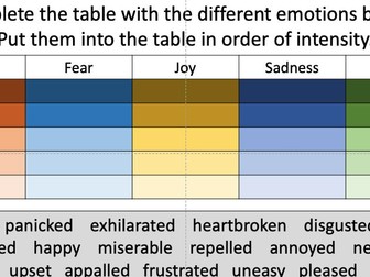 KS3 Mental Health PSHE lesson - one hour - emotional literacy