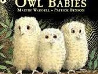 Owl Babies