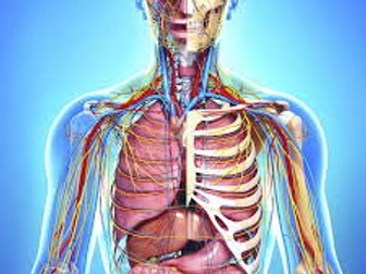 Anatomy and Physiology- FULL UNIT (UNIT 1)