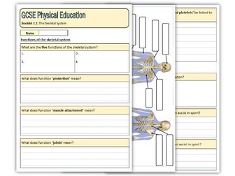 GCSE PE - Skeletal System 1.1