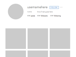Instagram Profile With 9 Pictures Template By Aleciar Teaching Resources Tes Instagram Profile Picture Template