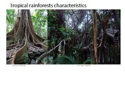 Tropical rainforests' location, climate and ...