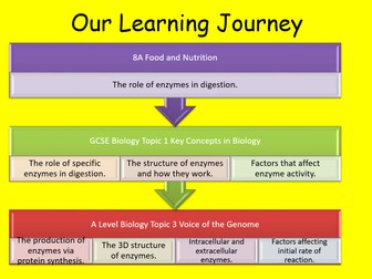 Edexcel CB1 SB1 Enzyme Action Complete Lesson - GCSE Biology/ Combined Science