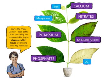 Plant Mineral Requirements - Complete lesson for Section 2E Edexcel IGCSE Biology (Plant Nutrition)