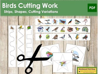 FREE Birds Cutting Work - Preschool Activity