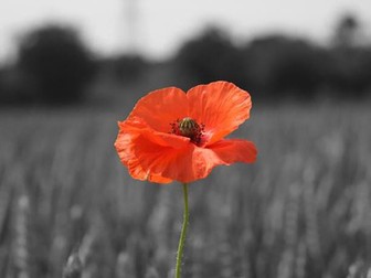 AQA Power and Conflict 'Poppies' Comparison lesson