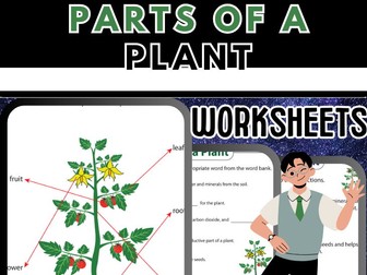 Identify, Label & Learn Plant Anatomy