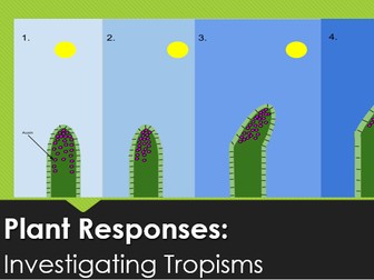 NEW OCR Biology A 5.5.3 Plant Responses: Investigating Tropisms