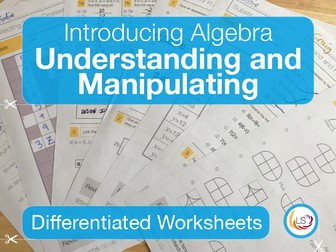 Algebra Understanding and Manipulating | Worksheets