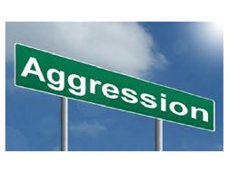 AQA psychology Aggression
