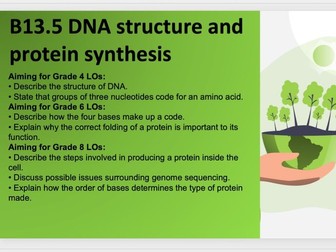 B13.5 DNA structure and protein synthesis