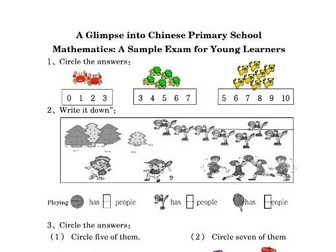 A Glimpse into Chinese Primary School Mathematics: A Sample Exam for Young Learners