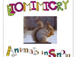 STEAM - Biomimicry for Young Children - Animals in Snow