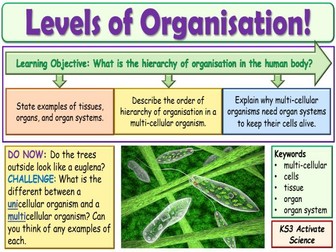 Levels of Organisation KS3 Activate Science