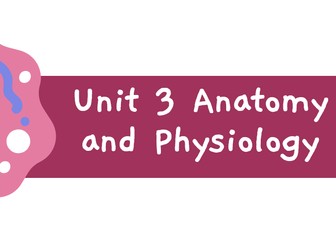BTEC L3 Health and Social Care - Unit 3 The Skeletal System