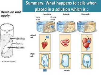 IGCSE Biology – Movement In and Out of Cells Resource Pack
