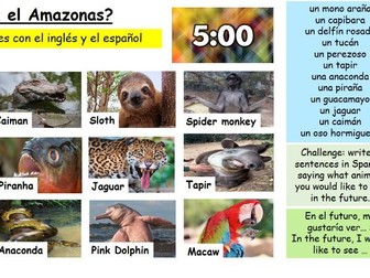 KS3 Spanish: Animals in the Amazon – One-Off Cover Lesson / End-of-Term Fun!